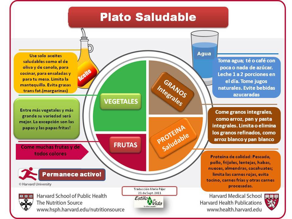 Plato Saludable Harvard - Blog - COF Ciudad RealBlog – COF Ciudad Real